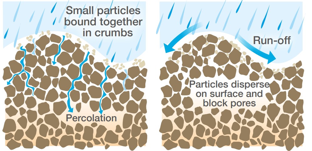 Diagram showing water infiltration, percolation and soil capping